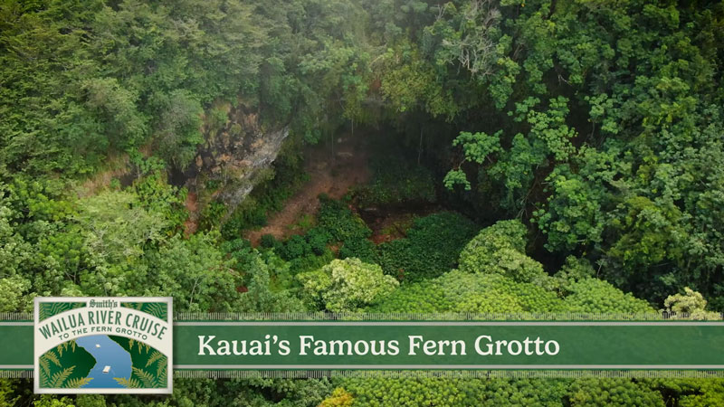 Kauai’s Famous Fern Grotto