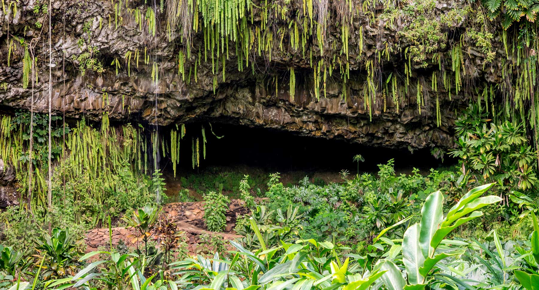Famous Fern Grotto