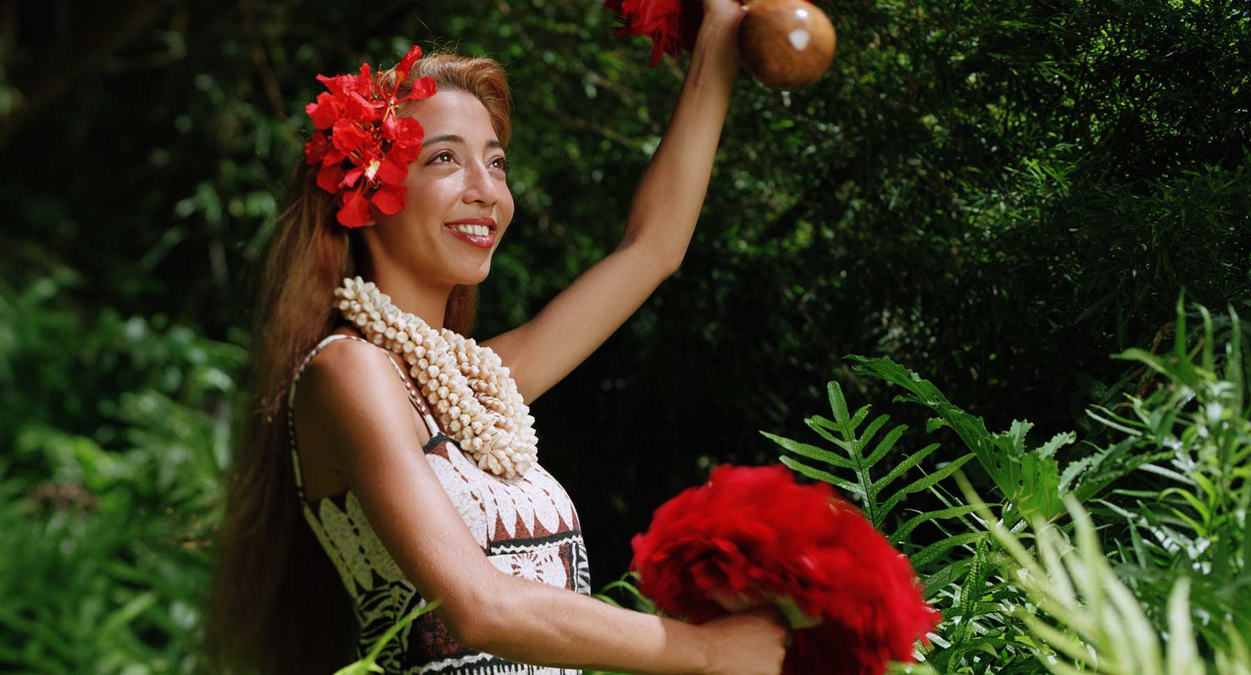 Graceful Hula Dancer