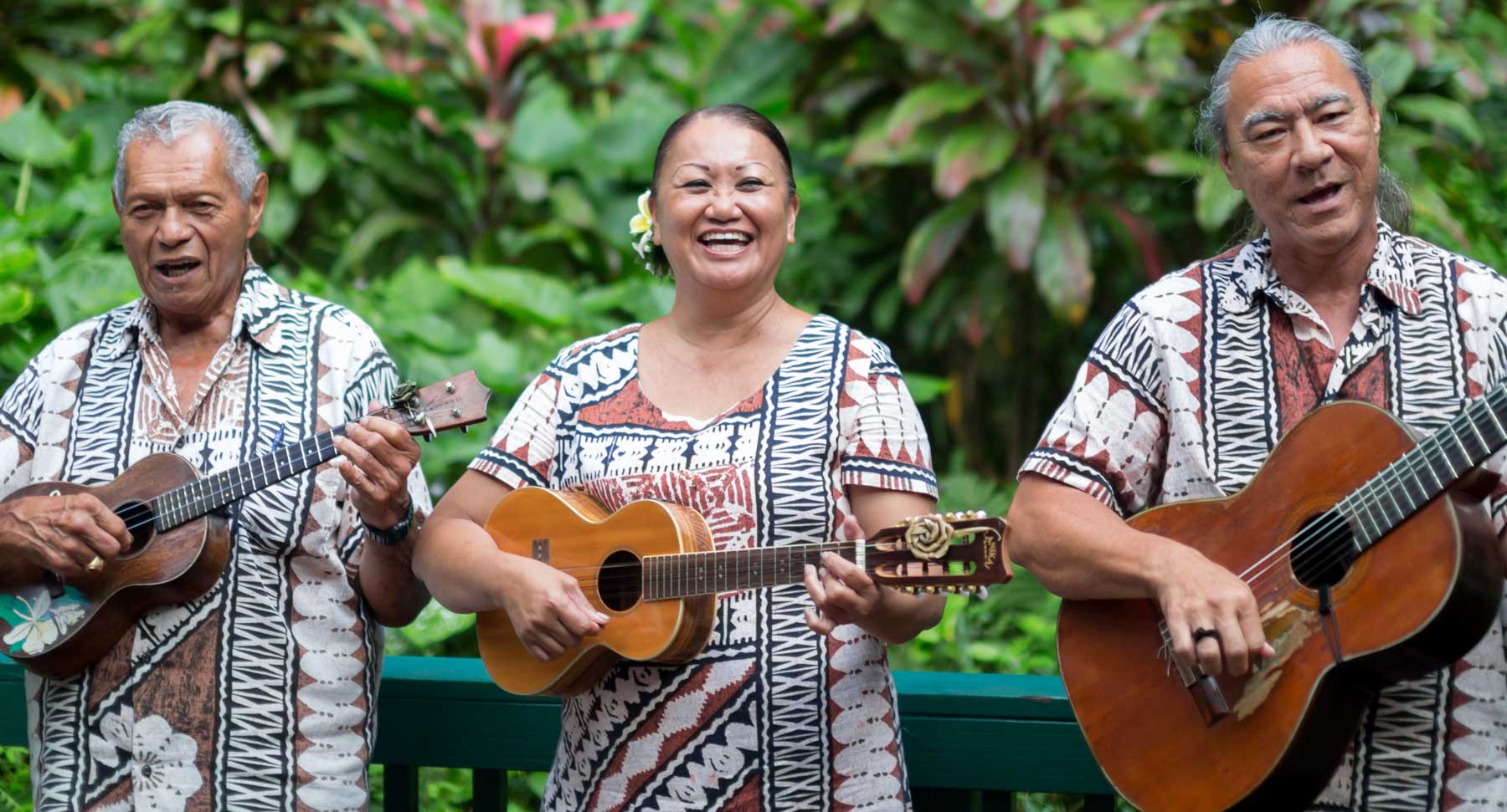 Musicians Perform at the Fern Grotto