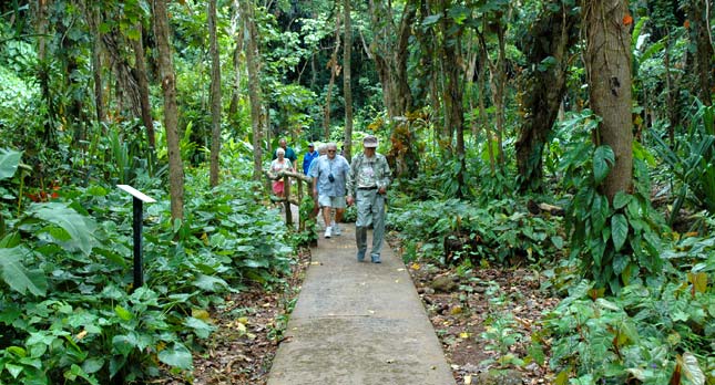 Kauai Nature Walk
