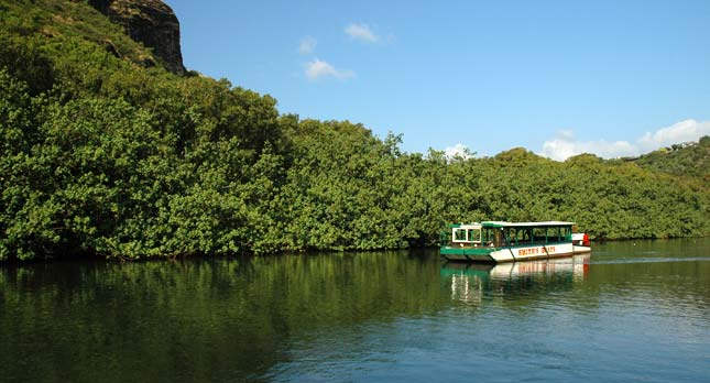 Smith's Fern Grotto Tours