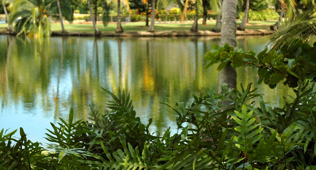 Smith's Wailua Ponds