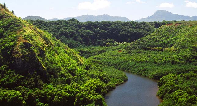 Wailua River Valley